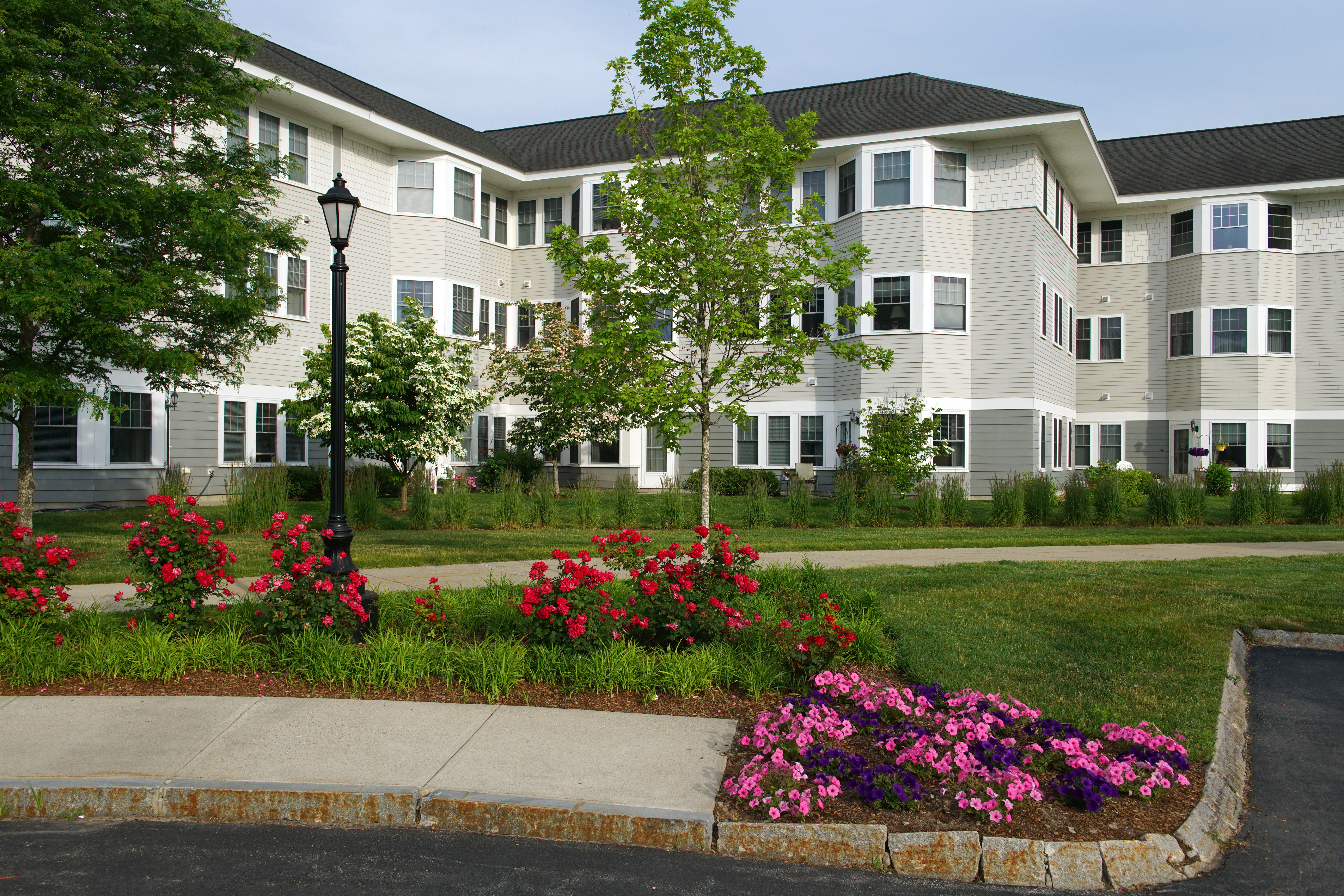 apartment buildings exterior with spring tree and flower